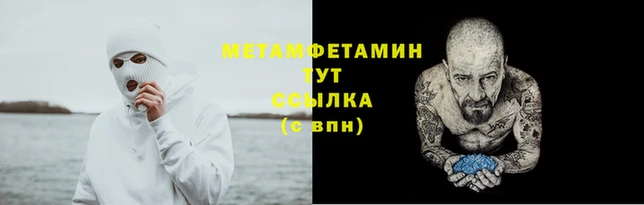 прущие грибы Карпинск