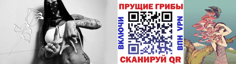 omg зеркало  Магнитогорск  Псилоцибиновые грибы Psilocybine cubensis 