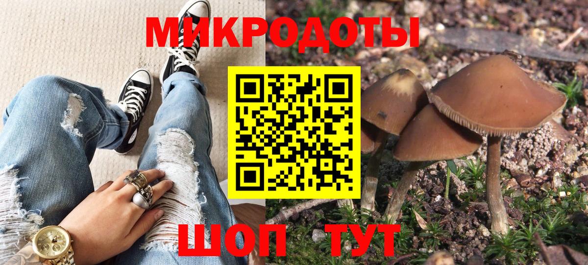 Галлюциногенные грибы прущие грибы Магнитогорск