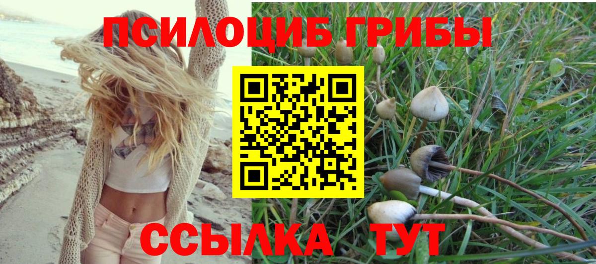 Магнитогорск  Псилоцибиновые грибы Psilocybe  Вход с VPN 