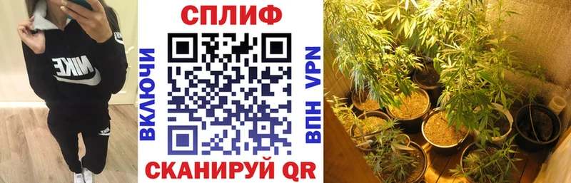 сколько стоит  Магнитогорск  МАРИХУАНА White Widow 